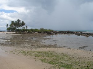 Terceira praia, pela manhã cedinho