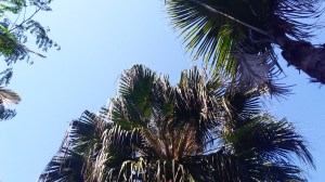 img_20161213_155936911